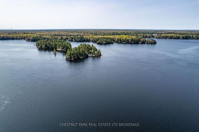99 Bala Park Island, House detached with 4 bedrooms, 2 bathrooms and 1 parking in Muskoka Lakes ON | Image 17