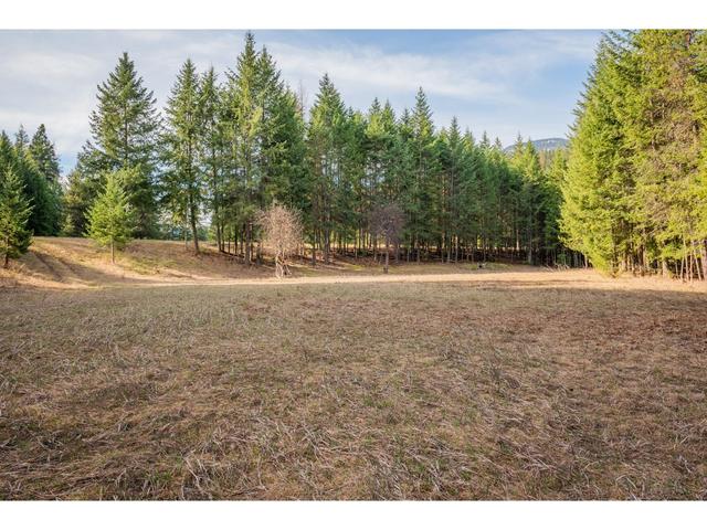 2621 Highway 3a, House detached with 2 bedrooms, 1 bathrooms and null parking in Central Kootenay I BC | Image 21