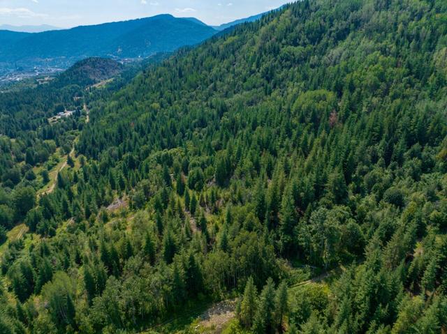 3150 Hanna Creek Road, House detached with 2 bedrooms, 2 bathrooms and null parking in Kootenay Boundary B BC | Image 80