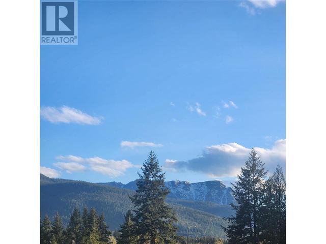 3550 16 Avenue Ne, House detached with 4 bedrooms, 2 bathrooms and 5 parking in Salmon Arm BC | Image 55