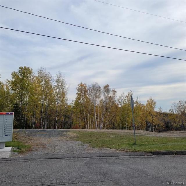 00 Belair Street, Home with 0 bedrooms, 0 bathrooms and null parking in Grand Falls NB | Image 7
