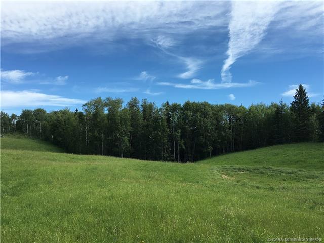 lot 9 - 13033 Township Road 424, Home with 0 bedrooms, 0 bathrooms and null parking in Wetaskiwin County No. 10 AB | Image 2