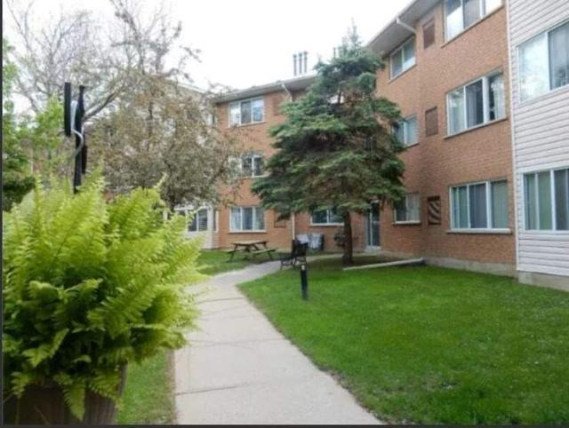 307 - 250 Robert St, Condo with 2 bedrooms, 1 bathrooms and 1 parking in Shelburne ON | Image 3