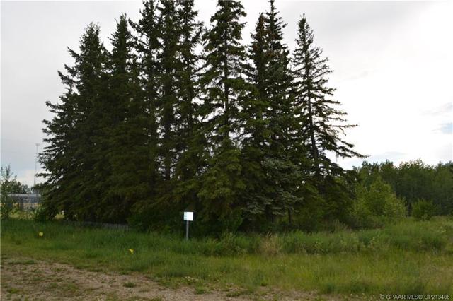 82032 Highway 744, House detached with 1 bedrooms, 1 bathrooms and 25 parking in Northern Sunrise County AB | Image 4