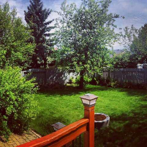 322 Bornstein Cres, House detached with 3 bedrooms, 3 bathrooms and 3 parking in Saskatoon SK | Image 16