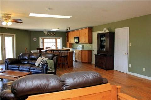 3531 Regional Road 19 Rd, House detached with 3 bedrooms, 4 bathrooms and 20 parking in Scugog ON | Image 4