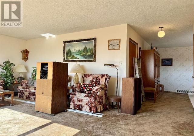815059 Rge Rd 31, House detached with 4 bedrooms, 2 bathrooms and 20 parking in Fairview No. 136 AB | Image 9