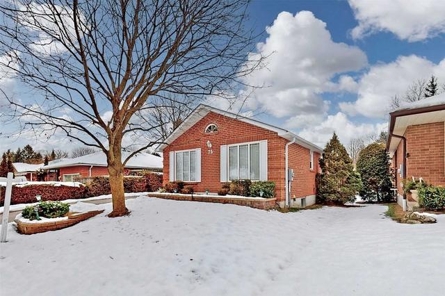 75 Ewen Dr, House detached with 3 bedrooms, 1 bathrooms and 4 parking in Uxbridge ON | Image 12