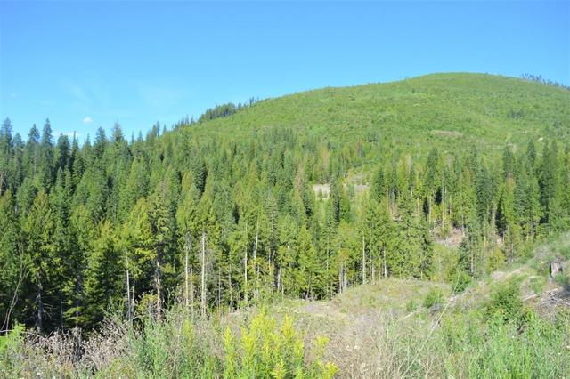 00 Seven Mile Dam Road, Home with 0 bedrooms, 0 bathrooms and null parking in Kootenay Boundary A BC | Image 16