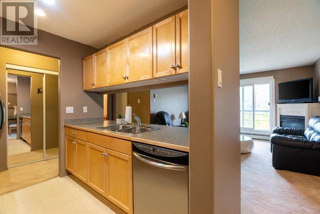 411 - 100 Richard Street, Condo with 2 bedrooms, 2 bathrooms and 2 parking in Wood Buffalo AB | Image 19
