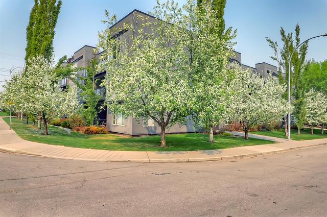 209 - 1939 30 Street Sw, Condo with 3 bedrooms, 3 bathrooms and 3 parking in Calgary AB | Image 28