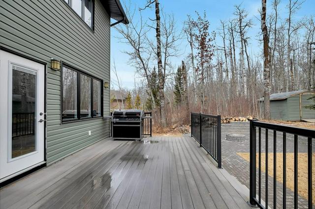 307 Jarvis Glen Court, House detached with 4 bedrooms, 3 bathrooms and 3 parking in Jarvis Bay AB | Image 33