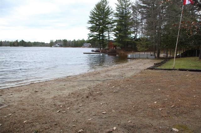 1161 North Morrison Lk Rd, House detached with 2 bedrooms, 1 bathrooms and 10 parking in Gravenhurst ON | Image 28