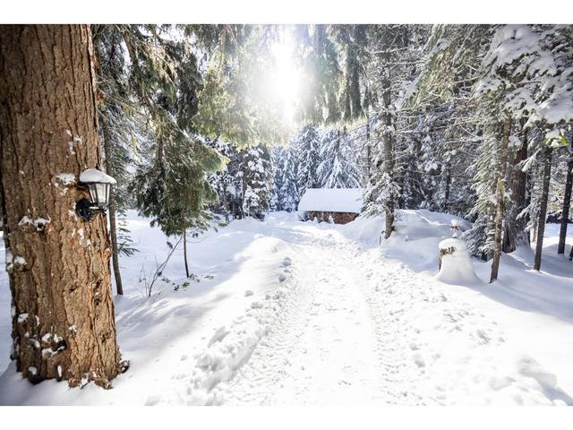 6225 Porto Rico Ymir Road, House detached with 3 bedrooms, 2 bathrooms and null parking in Central Kootenay G BC | Image 93
