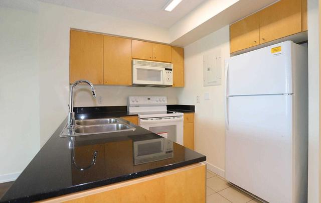 1001 - 373 Front St W, Condo with 1 bedrooms, 1 bathrooms and 1 parking in Toronto ON | Image 13
