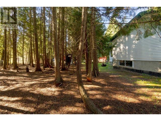 1289 Imai Road, House detached with 1 bedrooms, 1 bathrooms and null parking in Columbia Shuswap F BC | Image 36