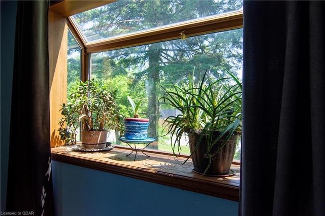 Greenhouse window in the Living room. | Image 14