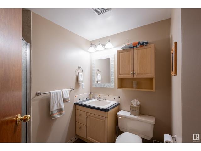 17224 113a St Nw, House detached with 4 bedrooms, 3 bathrooms and 4 parking in Edmonton AB | Image 48