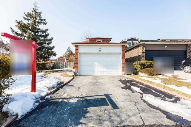 55 Mcgraw Ave, House detached with 3 bedrooms, 3 bathrooms and 4 parking in Brampton ON | Image 23