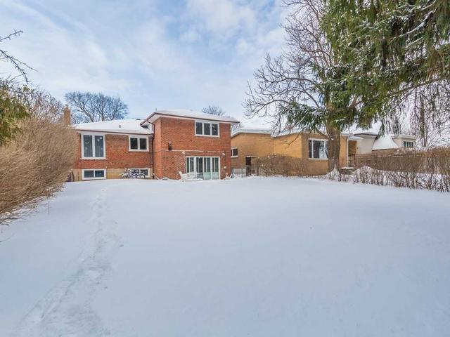 51 Palm Dr, House detached with 4 bedrooms, 3 bathrooms and 6 parking in Toronto ON | Image 17