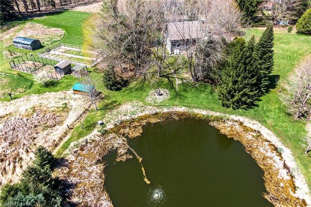 Natural spring fed private pond - totally swimmable! | Image 37