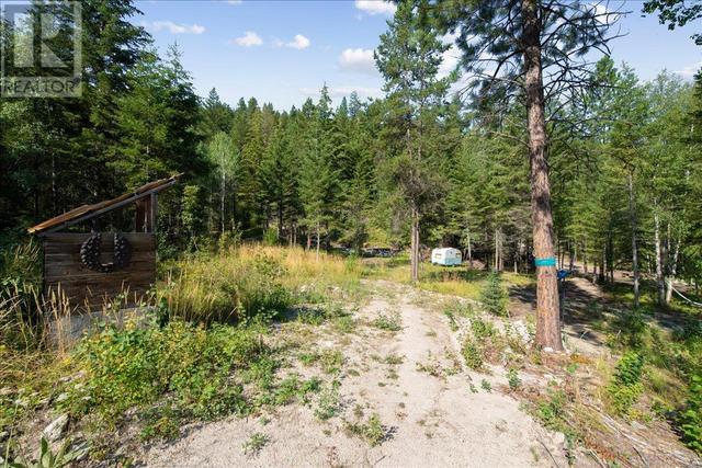 1124 Fish Lake Road, House detached with 3 bedrooms, 2 bathrooms and 7 parking in Okanagan Similkameen F BC | Image 61