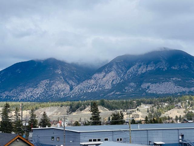 301 - 514 14th Street, House attached with 2 bedrooms, 3 bathrooms and 3 parking in Invermere BC | Image 44