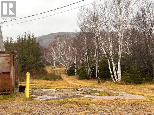 43118 Cabot Trail|Skir Dhu, House detached with 3 bedrooms, 1 bathrooms and null parking in Victoria, Subd. A NS | Image 40