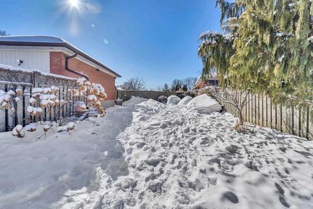 49 Trehorne Dr, House detached with 3 bedrooms, 3 bathrooms and 3 parking in Toronto ON | Image 26