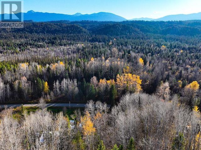 12580 Dome Creek Road, House detached with 1 bedrooms, 0 bathrooms and null parking in Fraser Fort George H BC | Image 28