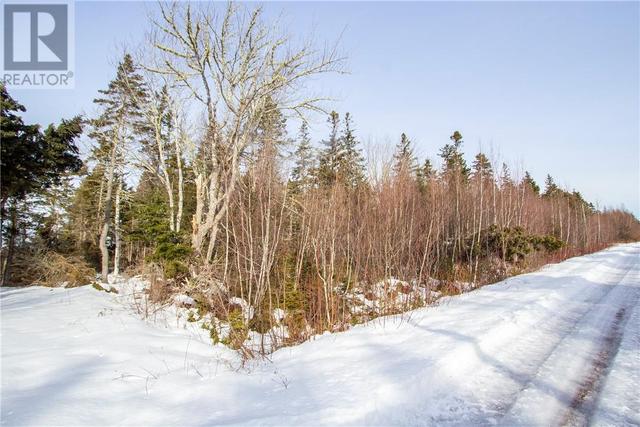 lot 965 Cape Dr, Home with 0 bedrooms, 0 bathrooms and null parking in Botsford NB | Image 4