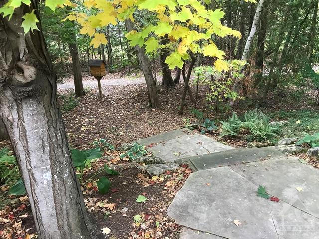 No need to go to the gym when you are just steps from a beautifully treed walking trail! | Image 30