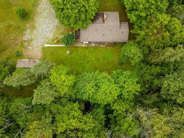 1165 County Road 620 Rd, House detached with 2 bedrooms, 1 bathrooms and 12 parking in North Kawartha ON | Image 12