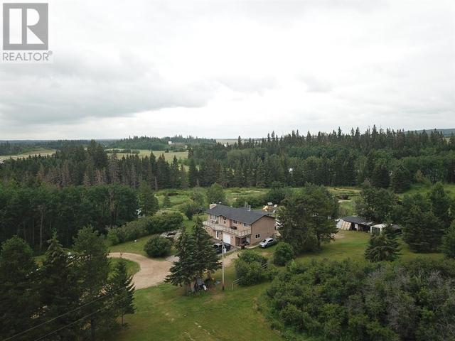 20 - 262065 Township Rd 422, House detached with 5 bedrooms, 3 bathrooms and null parking in Ponoka County AB | Image 41