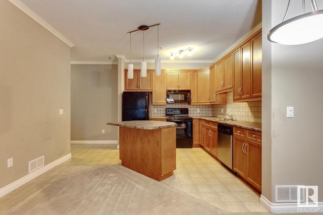 101 - 14205 96 Av Nw, Condo with 1 bedrooms, 1 bathrooms and null parking in Edmonton AB | Image 21