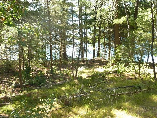 20800 Horseshoe Island, House detached with 1 bedrooms, 1 bathrooms and 2 parking in South Frontenac ON | Image 43