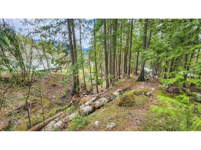5745 Longbeach Road, House detached with 0 bedrooms, 0 bathrooms and 6 parking in Central Kootenay E BC | Image 39