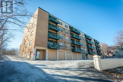 103 - 153 Patrick Street, Home with 1 bedrooms, 1 bathrooms and null parking in St. John's NL | Card Image