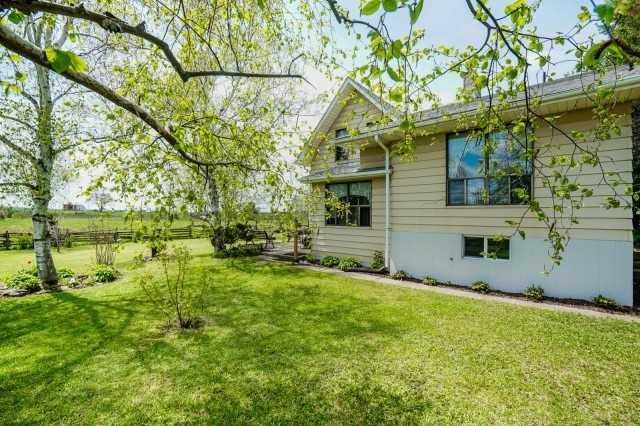 1253 Centennial Park Rd, House detached with 3 bedrooms, 1 bathrooms and 5 parking in Kawartha Lakes ON | Image 5