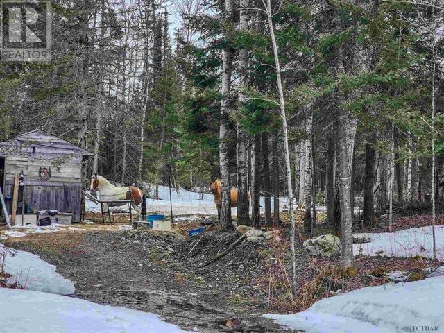 935 Goodfish Rd, House detached with 2 bedrooms, 1 bathrooms and null parking in Kirkland Lake ON | Image 34