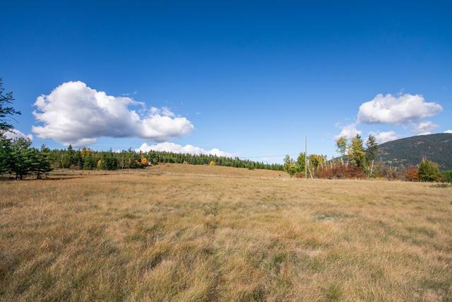000 Cochrane Road, Home with 0 bedrooms, 0 bathrooms and null parking in North Okanagan E BC | Image 5