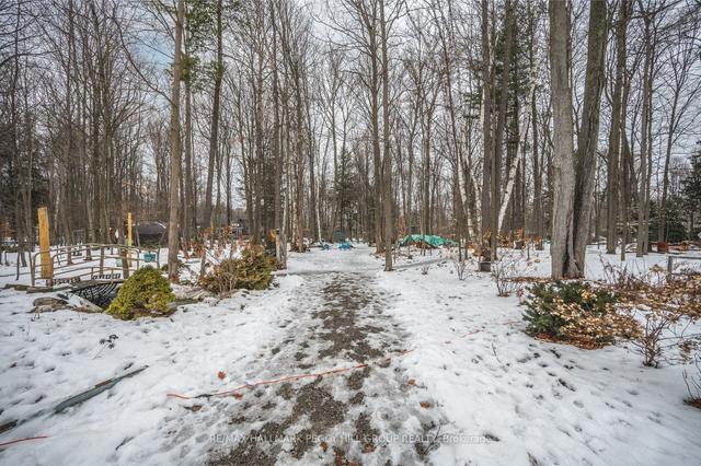 1776 Big Bay Point Rd, House detached with 3 bedrooms, 1 bathrooms and 14 parking in Innisfil ON | Image 12