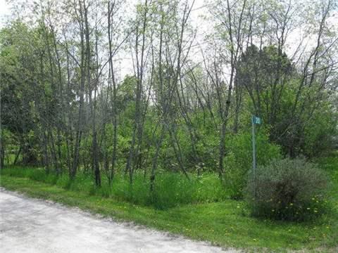 lot 9 Hargrave Rd, Home with 0 bedrooms, 0 bathrooms and null parking in Kawartha Lakes ON | Image 3