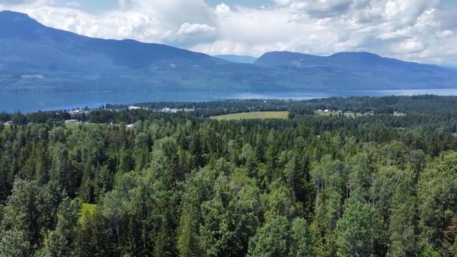 432 Alexander Road, House detached with 3 bedrooms, 1 bathrooms and 5 parking in Central Kootenay K BC | Image 33
