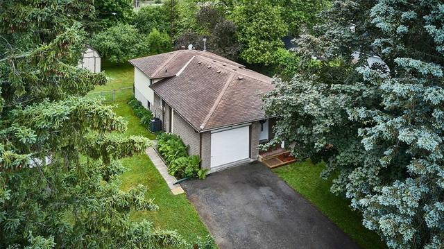 555 Amos St, House detached with 4 bedrooms, 2 bathrooms and 5 parking in Clarington ON | Image 23