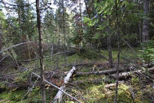 lot 9 Clark Road, Home with 0 bedrooms, 0 bathrooms and null parking in Central Kootenay K BC | Image 16