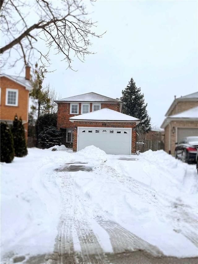 bsmt - 20 Mcnairn Crt, House detached with 1 bedrooms, 1 bathrooms and 1 parking in Richmond Hill ON | Image 1