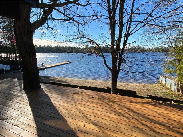 1161 North Morrison Lk Rd, House detached with 2 bedrooms, 1 bathrooms and 10 parking in Gravenhurst ON | Image 13