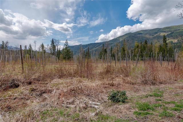 3600 Erickson Road, House detached with 3 bedrooms, 3 bathrooms and 13 parking in Columbia Shuswap E BC | Image 37