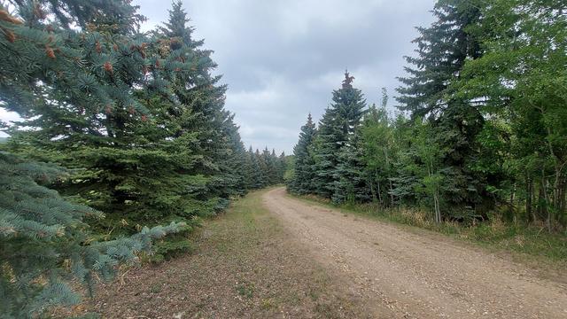 2119 Township Road 412, House detached with 2 bedrooms, 1 bathrooms and 6 parking in Lacombe County AB | Image 4